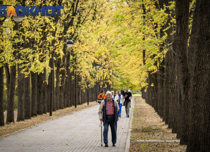 Бабье лето вернётся в Краснодар во второй половине ноября 