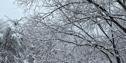 На Кубани продолжает действовать штормовое предупреждение