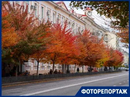 Краснодар вспыхнул красно-жёлтыми красками: осенняя фотопрогулка по городу