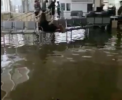 Режим ЧС ввели в Армавире из-за потопа