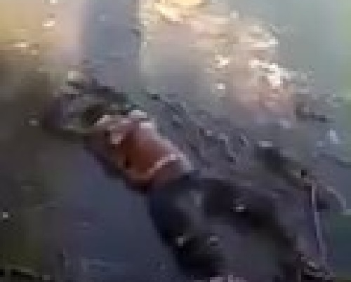 Труп девушки найден в реке у моста в Краснодаре