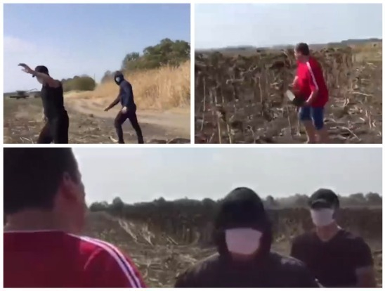 У фермера на Кубани пытались «отжать» урожай мужчины в масках - СМИ