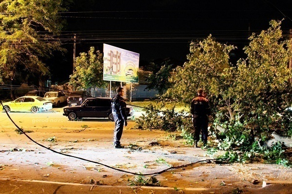 В Новороссийске на «семерку» рухнуло дерево