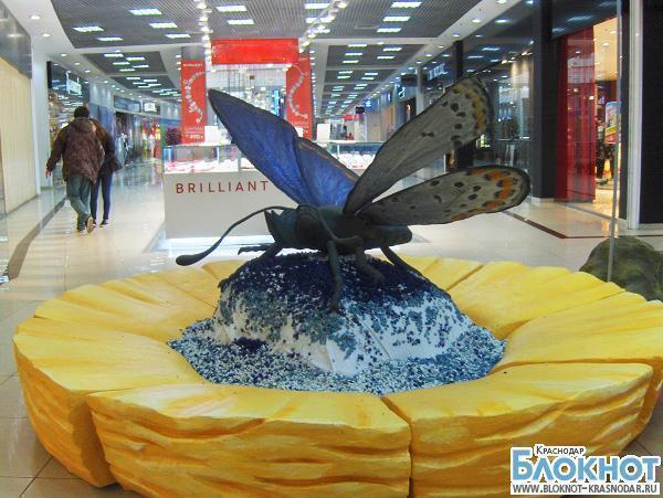 В Краснодаре открылась выставка гигантских насекомых