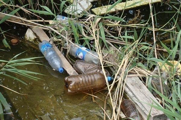В Краснодаре Карасуны превратились в болото с пивными бутылками