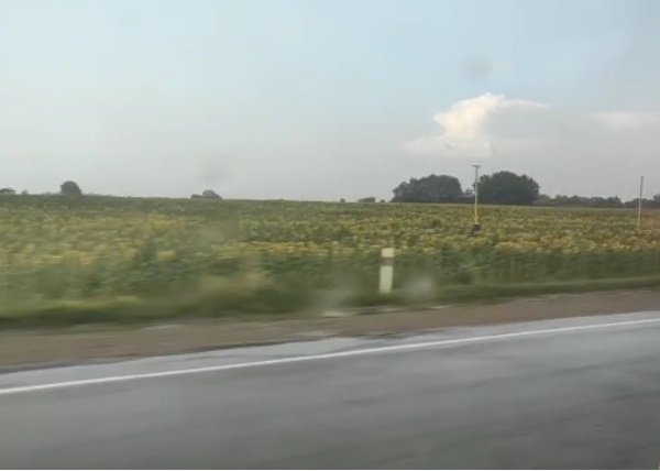 В Краснодарском крае начались ливни и пыльные бури