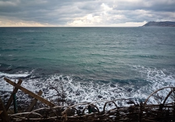 В охраняемой зоне черноморского побережья пытались украсть два гектара земли