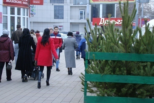 Где в Краснодаре купить новогоднюю ёлку и игрушки