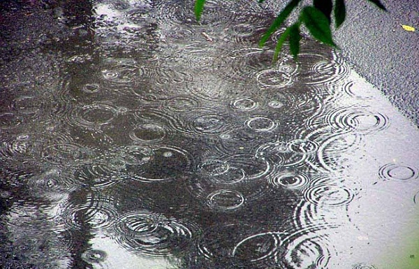 На майские праздники в Краснодаре будет дождь
