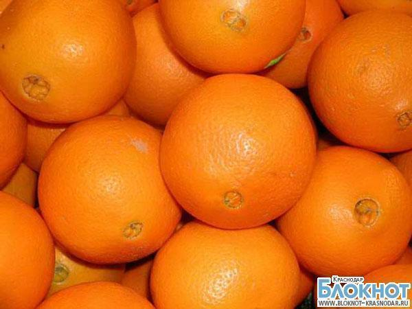 Туапсе: апельсины отдельно, мухи отдельно