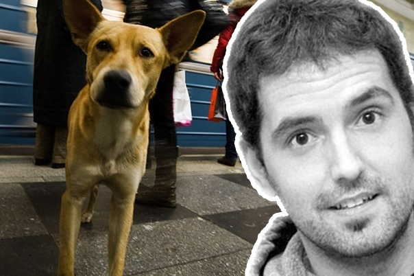 «Моих собак убили из-за мундиаля»: Новую скандальную статью написал испанский журналист Паскуаль