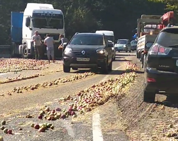 Вот это компот: тонны яблок засыпали дорогу под Горячим Ключом