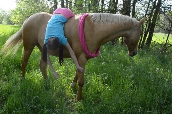 В Армавире маленькая девочка упала с лошади