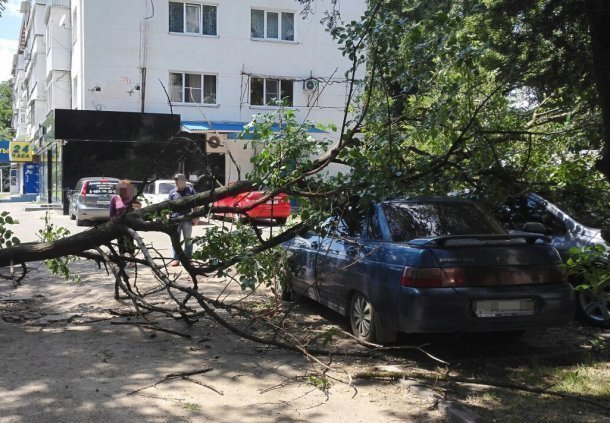 В Краснодаре на машину рухнуло дерево