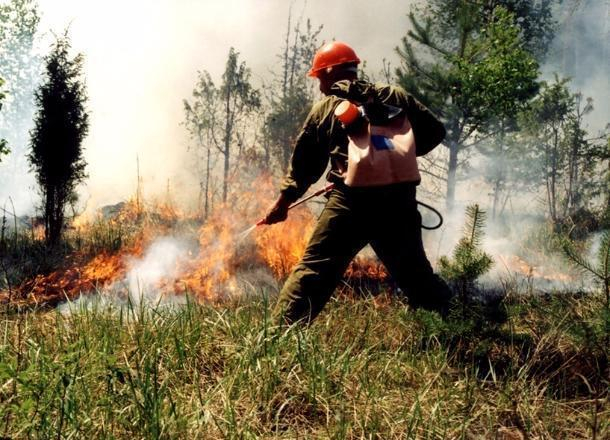 Гринпис России проведёт противопожарную экспедицию в Краснодарском крае