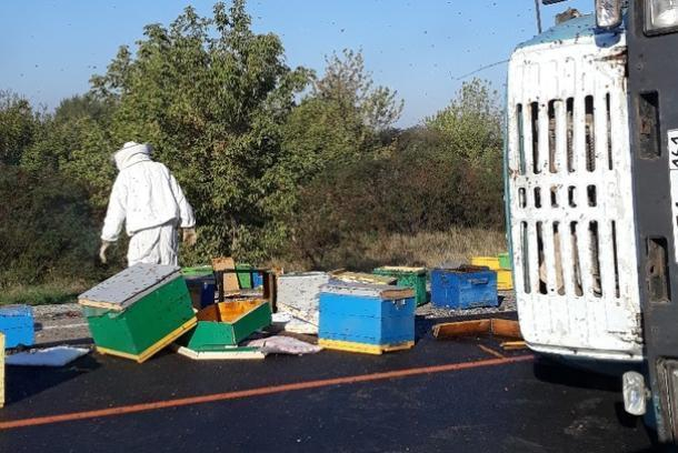 «Свободу пчелам»: грузовик с ульями перевернулся под Горячим Ключом