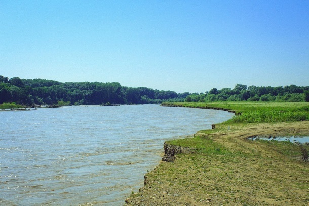 Труп женщины обнаружили в реке Кубань