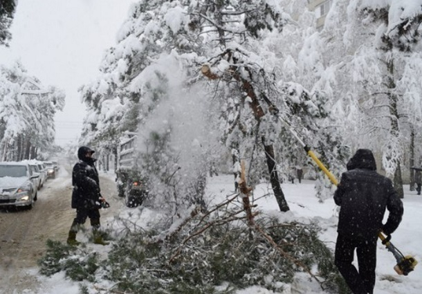 В Горячем Ключе стихия повалила крупные деревья