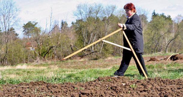 В Краснодаре за два дня распределят земельные участки среди многодетных семей