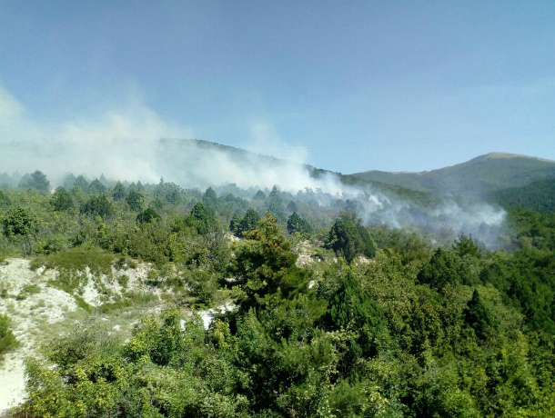 В Геленджике произошел крупный пожар в горной местности: огонь тушат с вертолета