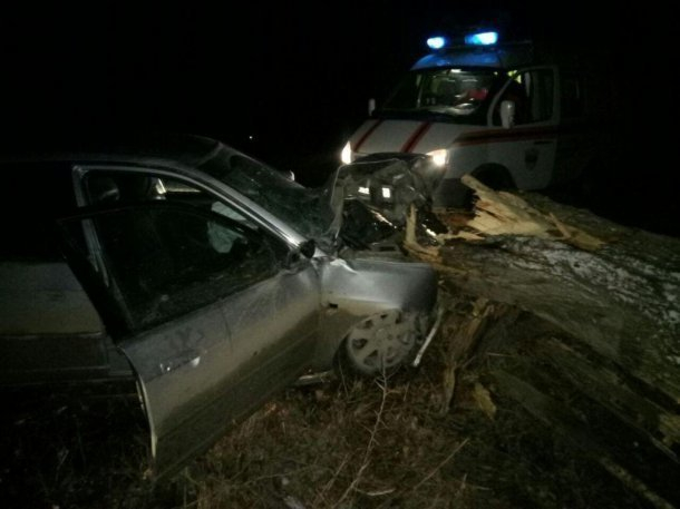 Водитель на опасном повороте вылетел с дороги и угодил в дерево на Кубани