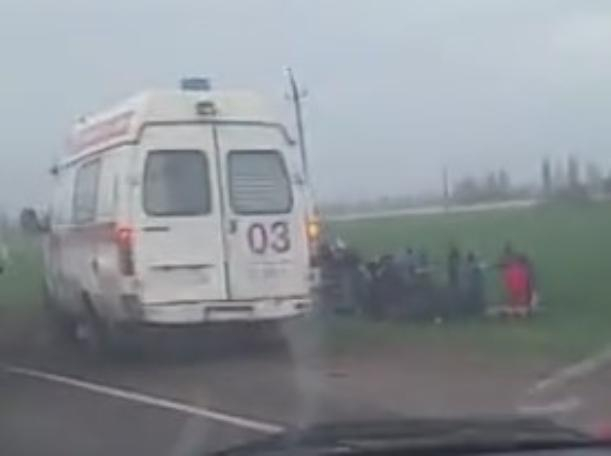 «Очень много скорых!»: на Кубани лоб в лоб столкнулись микроавтобус и легковушка