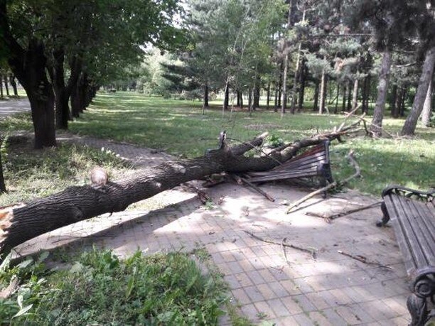 Упавшее дерево разломало лавочку в краснодарском парке