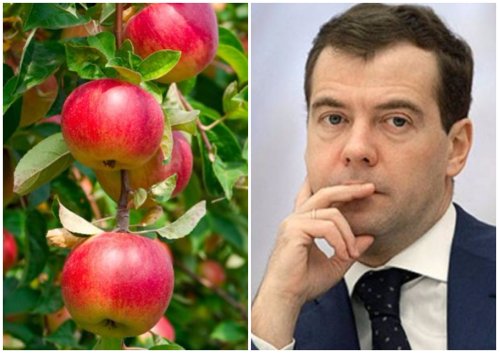 «Кузен» Дмитрия Медведева купил агрофирму в Краснодаре