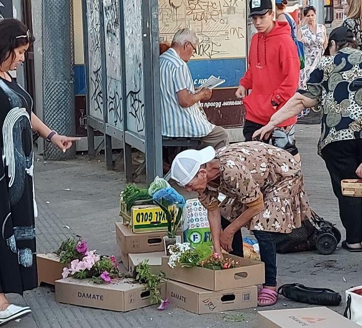 В Краснодаре продают на рынках сорванные в скверах цветы