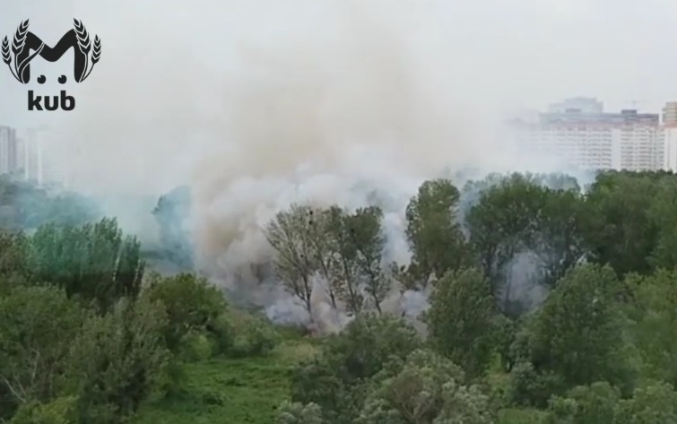 В Краснодаре горит большой лесопарк на Гидростроителей