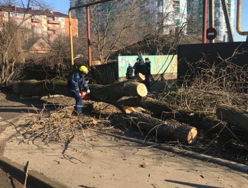 Три электростолба и дерево упали на дорогу в поселке Краснодарском