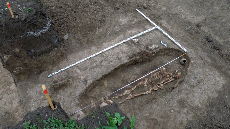 Под Краснодаром нашли могилу воина, похороненного более трех тысяч лет назад