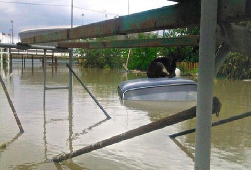 Сочинский ливень оказался самым мощным за всю историю метеонаблюдений