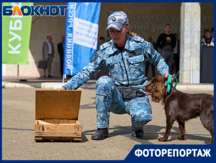 Чемоданчик криминалиста и выступление кинолога: МВД открыло выставку на площадке КубГАУ