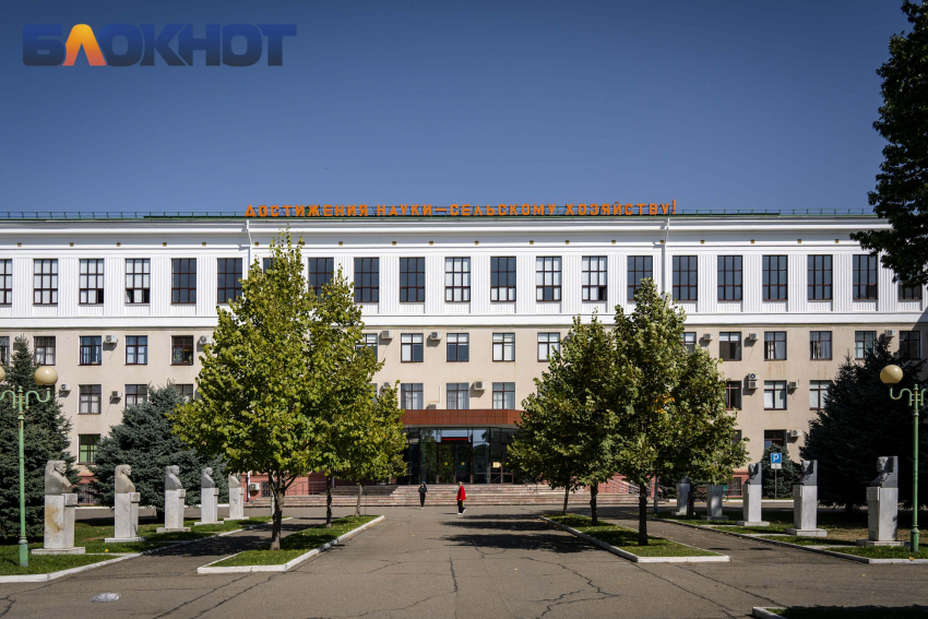 Стоимость выросла на полсотни: какие профессии оказались самыми дорогими в КубГАУ