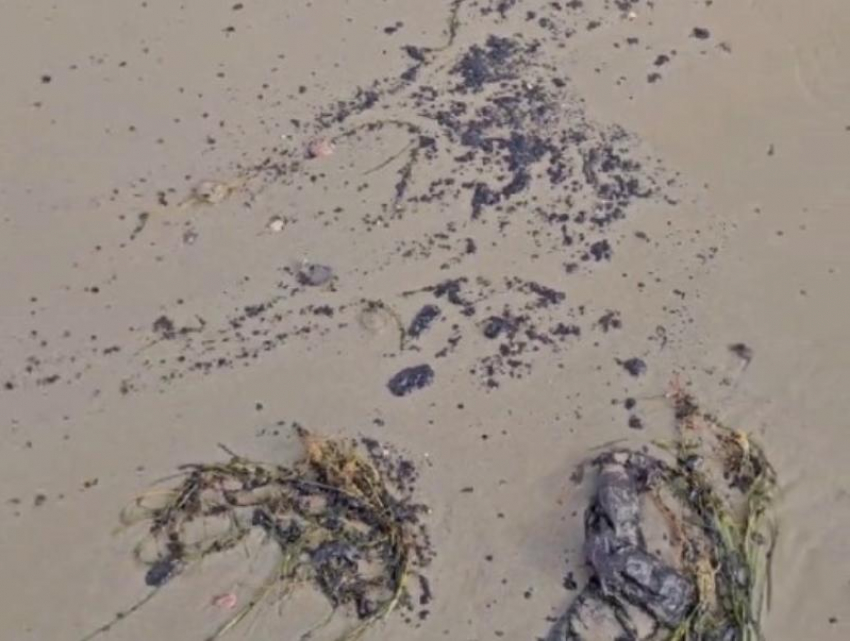 «Картина нереально жуткая»: блогер показал новые выбросы мазута на Кубани