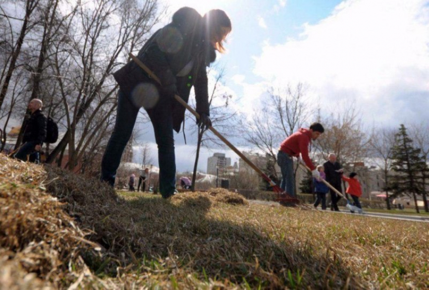  Около 100 тысяч человек выйдет на общегородской субботник в Краснодаре 