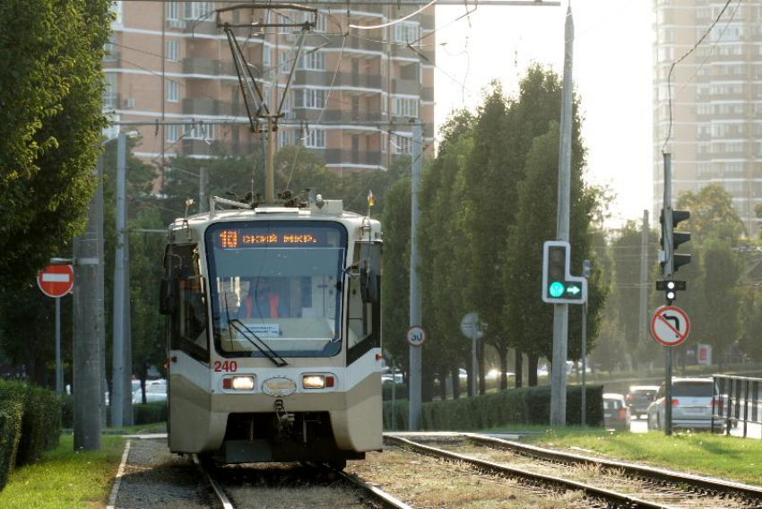 Как изменится движение общественного транспорта в Краснодаре из-за строительства трамвайной линии