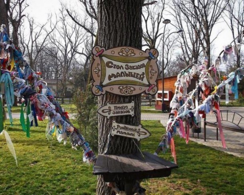  В одном из краснодарских парков можно заказать себе малыша 