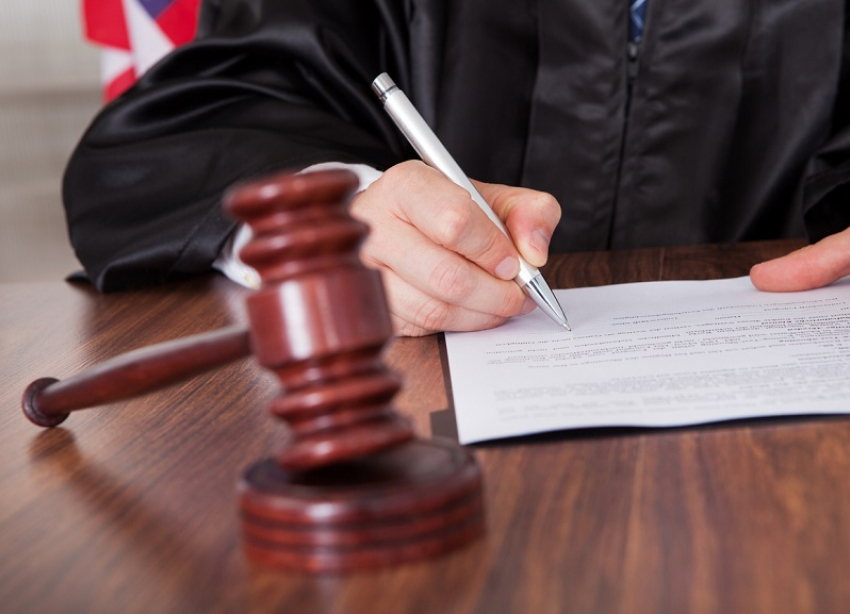 Суд заменил условный срок на реальный жителю Кубани за вырубку леса на 22 млн рублей