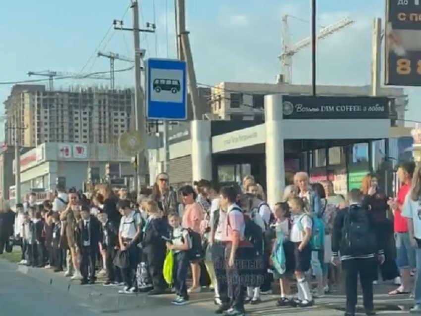 В Краснодаре школьники не помещаются на остановках и в автобусах