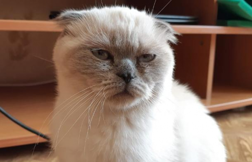 Дождь пройдет по всей Кубани 4 января, но будет тепло