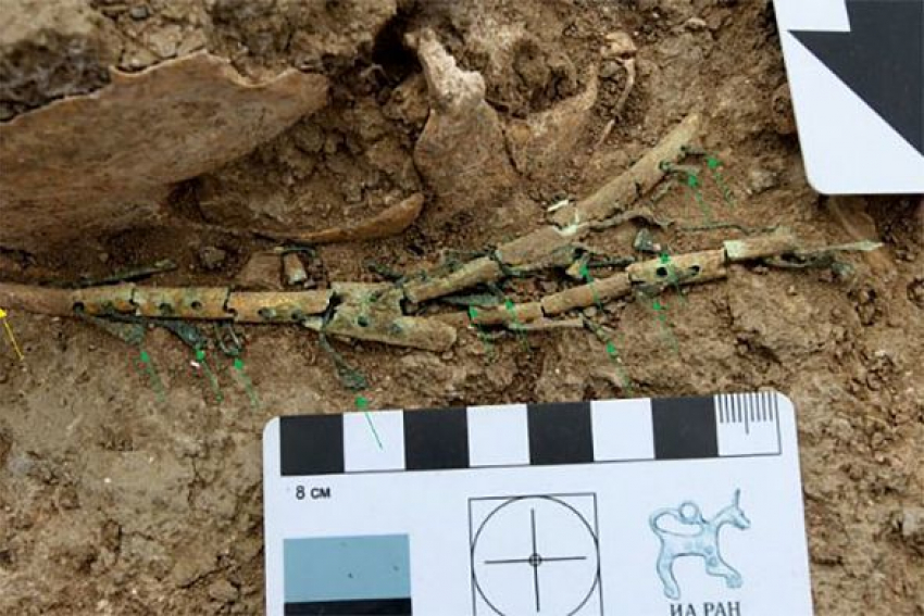 Редчайшую арфу IV века нашли на Тамани археологи