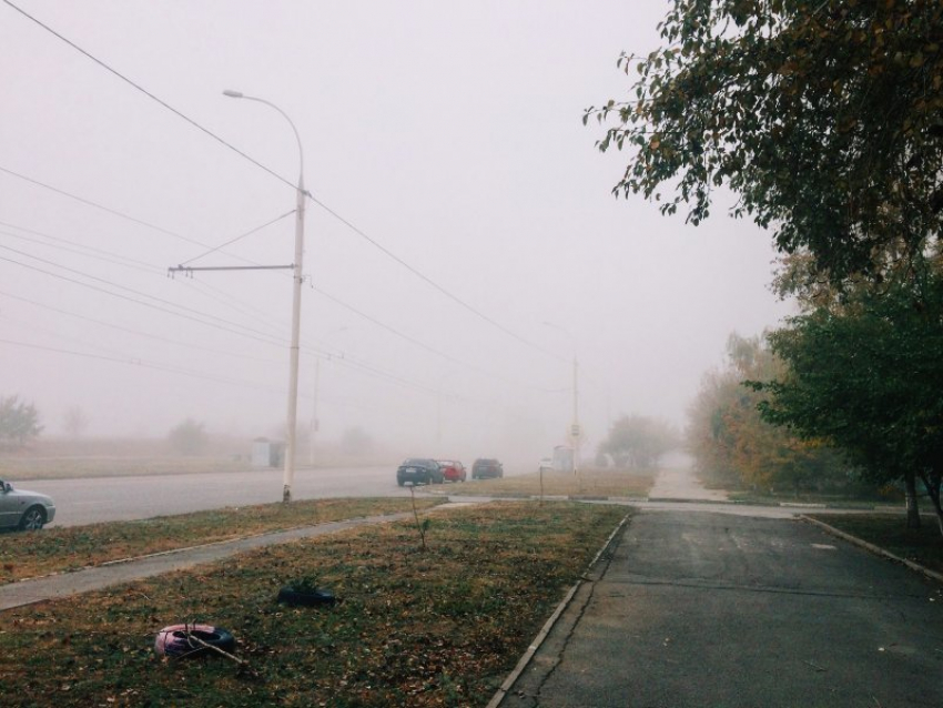  Штормовое предупреждение из-за сильного тумана объявили на Кубани 