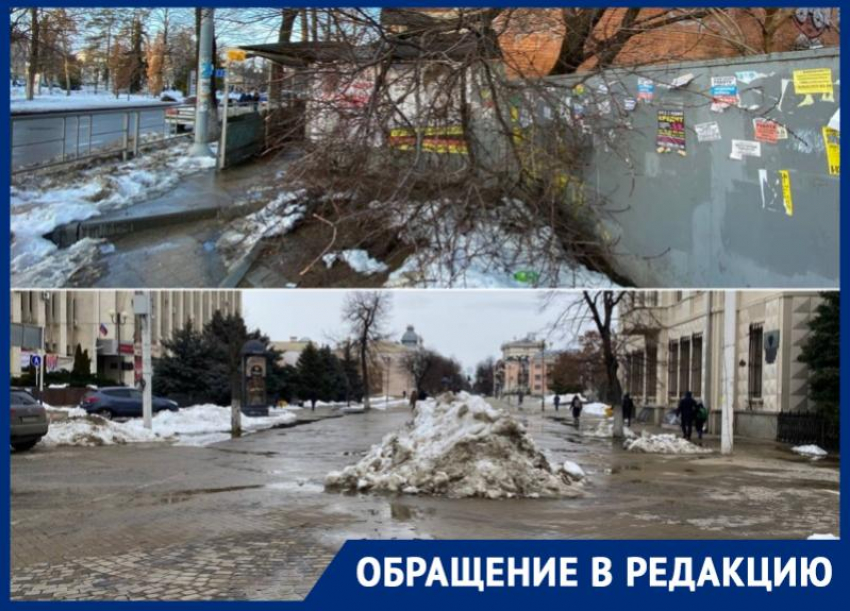 Сломанные деревья и мусор: как изменился Краснодар после поручения мэра очистить город