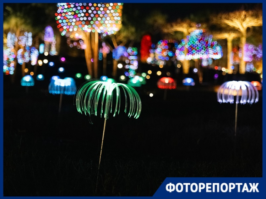 Ангелы, кролики и шары: новогодняя иллюминация превратила парк Галицкого в сказочную локацию