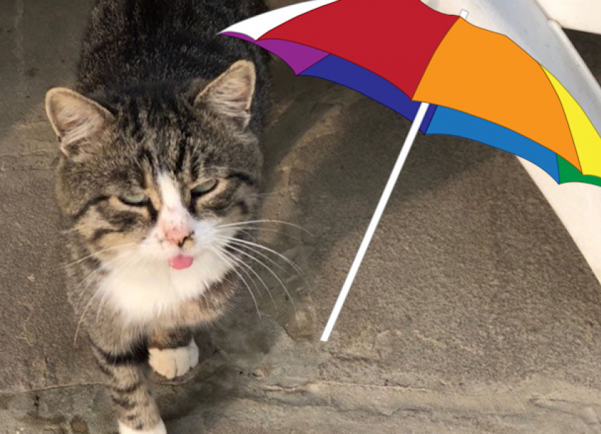 Дождем с грозой и низкой температурой завершится рабочая неделя на Кубани 