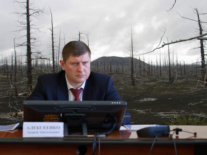 «Облысевший» Краснодар: власти разрабатывают стандарт озеленения
