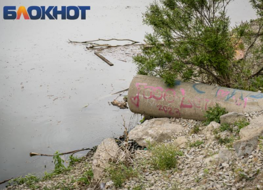 Глава СК Бастрыкин поручил повторно возбудить уголовное дело из-за загрязнения реки в Краснодаре