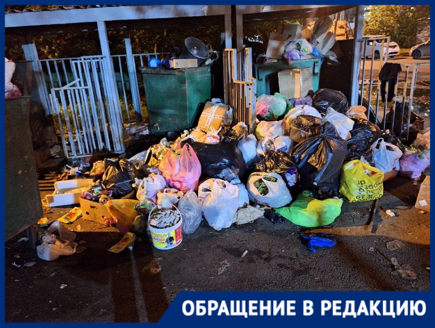 Горы мусора захватывают проезжую часть в Краснодаре
